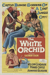 The White Orchid