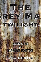 The Grey Man: Twilight