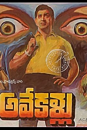 Ave Kallu
