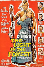 The Light in the Forest