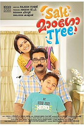 Salt Mango Tree