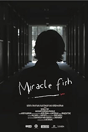 Miracle Fish