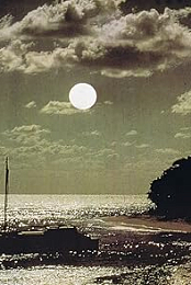 Echo & the Bunnymen: The Killing Moon