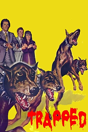 Doberman Patrol