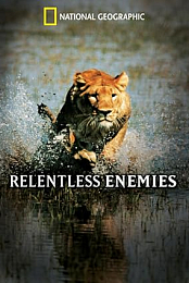 Relentless Enemies