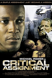 Critical Assignment