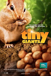 Tiny Giants
