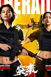 The Raid