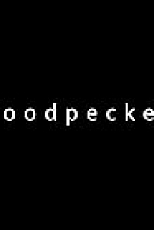 Woodpecker