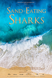 The Sand-Eating Shark