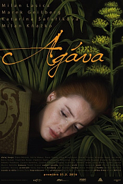 Agava