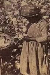 Capitalism: Slavery