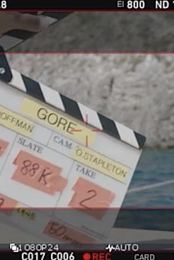 Gore
