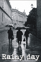 Rainy Day
