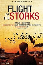Flight of the Storks