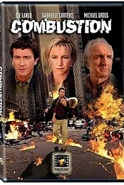 Combustion
