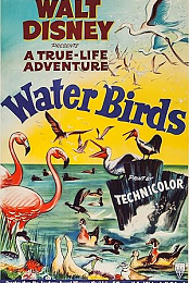 Water Birds (1952) 720p 10bit WEBRip x265-budgetbits