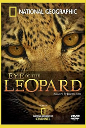 Eye of the Leopard