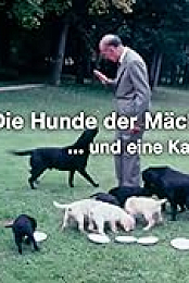 Die Hunde der Machtigen - und eine Katze