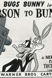 Person to Bunny