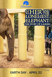 Cher and the Loneliest Elephant