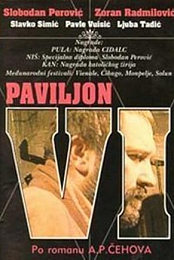 Paviljon broj VI