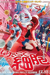 Cells at Work!