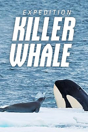 Expedition Killer Whale