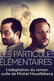 The Elementary Particles
