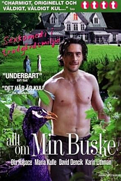 All about my bush