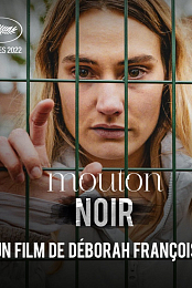 Mouton noir