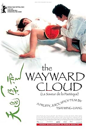 The Wayward Cloud