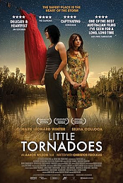 Little Tornadoes