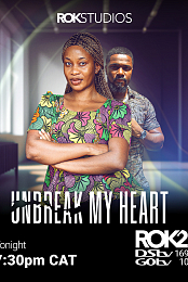 Unbreak My Heart
