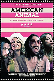 American Animal