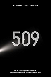 509