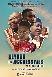 Beyond the Aggressives: 25 Years Later