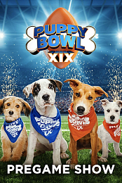 Pre Game Puppy Bowl