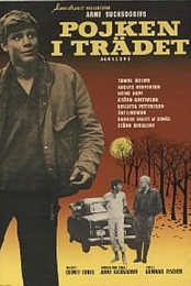 Pojken i tradet