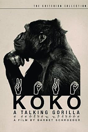 Koko, a Talking Gorilla