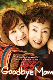 Goodbye Mom