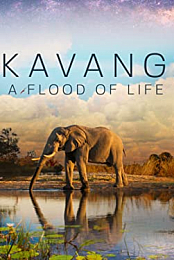 Okavango: A Flood of Life
