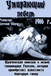 The Dying Swan