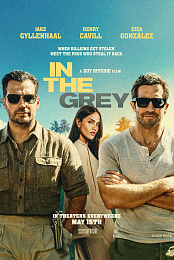 In.the.Grey.2026.1080p.WEBRip.10Bit.DDP.5.1.x265-NeoNoir
