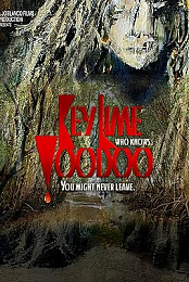 Key.Lime.Voodoo.2020.WEBRip.XviD.MP3-XVID
