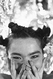 Bjork: Big Time Sensuality