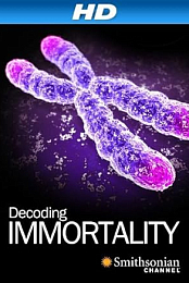 Immortal