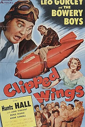 Clipped Wings