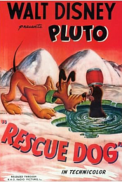 Rescue Dog
