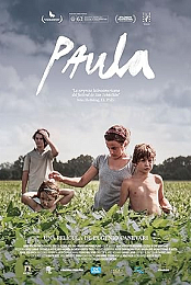 Paula 2015 [BRrip X264 MKV][Castellano]
